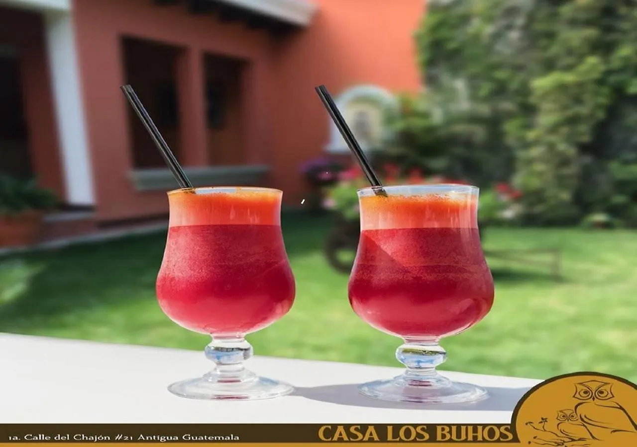 Hotel Casa Los Buhos Antigua